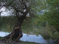 U Hamerského rybníka, autor: Tomáš*