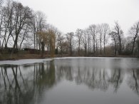 Ctěnický rybník, autor: Tomáš*
