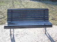 Ojíněná lavička v Centrálním parku, autor: Tomáš*