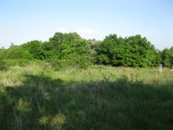 Zde se nácházelo oppidum Závist, autor: Tomáš*