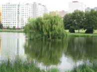 Doposud bezejmenný rybník s ostrůvkem v Centrálním parku, autor: Tomáš*