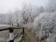 Pitkovická stráň v zimě, autor: Alavan