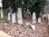 Spodní část židovského hřbitova, autor: Tomáš*