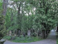 Olšanské hřbitovy, autor: Tomáš*