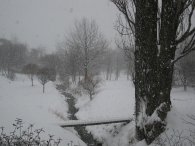 Sněží a sněží, autor: Tomáš*