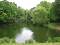 Borový rybník, autor: Tomáš*