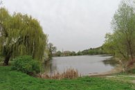 Libocký rybník, autor: Andrea Kylarová