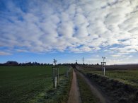 Za Panskou zahradou, autor: Andrea Kylarová