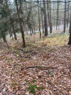 Z Cerhovic přes Kvásek do Kařezu, autor: Jaroslava Hauserová