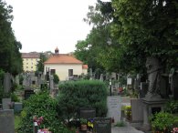 Krčský hřbitov, autor: Tomáš*