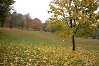 Barvy podzimu v Havlíčkových sadech, autor: Jan Čermák