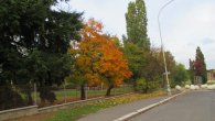 podzim barví listí, autor: mrkvajda