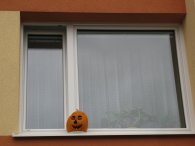 Pan domácí kouká z okna, autor: Tomáš*