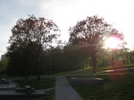 Západ sluníčka v Malešickém parku, autor: Tomáš*
