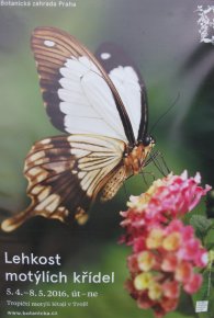 Fata Morgana - Lehkost motýlích křídel, autor: Tomáš*