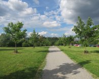 Letní vůně posečené trávy v parku na Lužinách, autor: Alavan