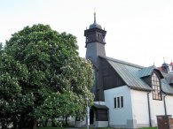 Kaštany před kostelem sv.Vojtěcha v Libni, autor: Tomáš*