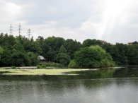 Hamerský rybník, autor: Tomáš*