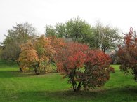 Tradičně podzimně vybarvená Košinka, autor: Tomáš*