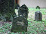 Náhrobní kameny na židovském hřbitově v Uhříněvsi, autor: Tomáš*