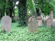 Náhrobky na židovském hřbitově, autor: Tomáš*