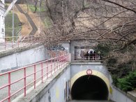 Podchod pro pěší do Karlína a schůdky na vrch Vítkov, autor: Tomáš*