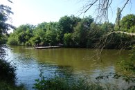 Hořejší rybník v parku Smetanka, autor: Alena