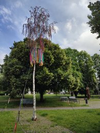 Máj v parku Václavka, autor: Andrea Kylarová