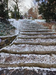 betonové schodiště imitující kořeny a pařezy, autor: Andrea Kylarová