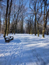 Obora Hvězda, autor: Petra Tausigová