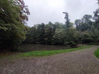 Zátišský rybník, autor: Andrea Kylarová