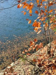 podzim na přehradě, autor: Andrea Kylarová