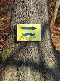 RUN TO MOVEMBER - běh pro mužské zdraví, autor: Andrea Kylarová