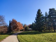 hradiště Šance, autor: Andrea Kylarová