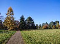 podzim na hradišti, autor: Andrea Kylarová