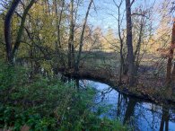 meandry Botiče, autor: Andrea Kylarová