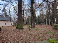 židovský hřbitov, autor: Andrea Kylarová