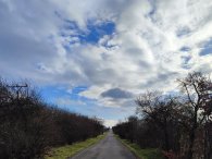 alej k Netlukám, autor: Andrea Kylarová