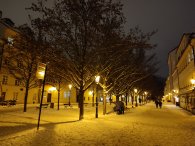 Kampa, autor: Andrea Kylarová