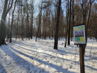 Lesní galerie, autor: Andrea Kylarová