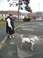 Pes polomáčený, autor: Petr Teringl