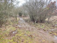 blátivé cesty, autor: Andrea Kylarová