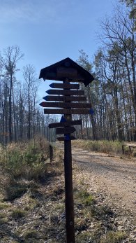 Dřevěný rozcestník Kamenná., autor: Petr