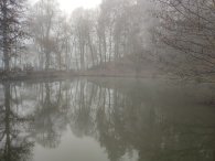 Všenory, Hořejší rybník v mlze, autor: Andrea Kylarová