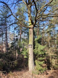 Na Pupku, autor: Andrea Kylarová