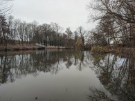 Ctěnický rybník, autor: Andrea Kylarová