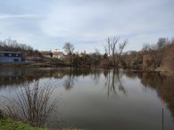 rybník Malá Obůrka ve Vinoři, autor: Andrea Kylarová