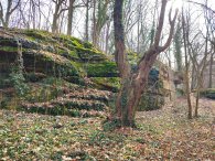 Vinořský park, autor: Andrea Kylarová