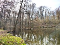 Rybník U Kamenného stoli, autor: Andrea Kylarová