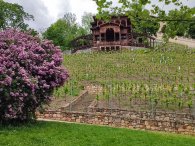 Viniční altán, autor: Andrea Kylarová